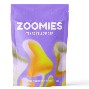 Texas Yellow Cap | Shrooms Online Canada