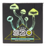 Room 920 - Mushroom Chocolate Bar - Dark Chocolate Mint - 3 grams | Shrooms Online Canada