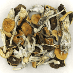 Full Moon Party | Shrooms Online Canada