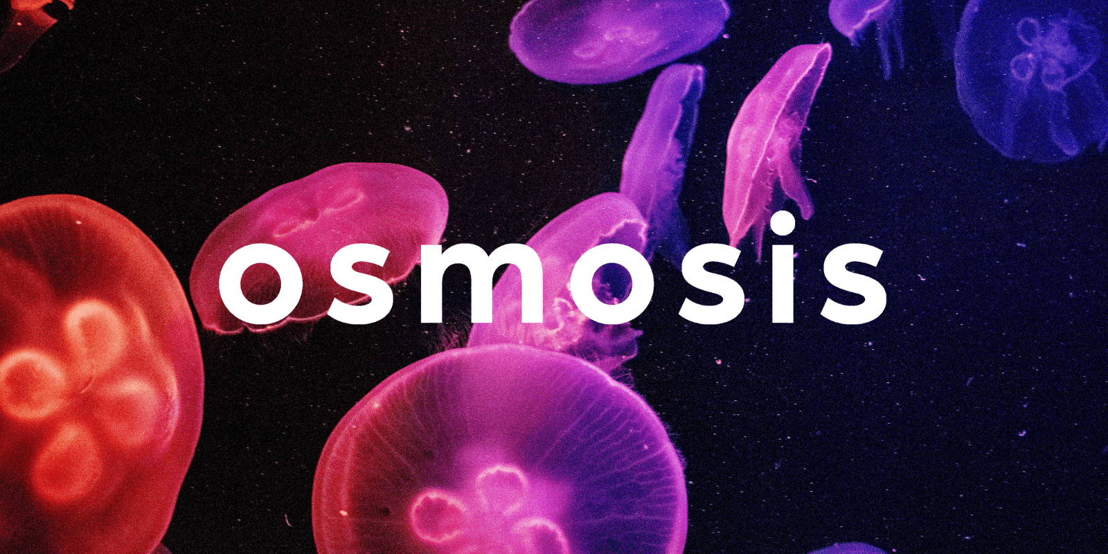 Zoomies osmosis banner | Shrooms Online Canada