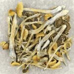 Trinity | Shrooms Online Canada