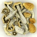 Vietnamese | Shrooms Online Canada