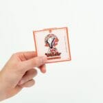 Wonder – Psilocybin Chocolate Bar – Blood Orange | Shrooms Online Canada