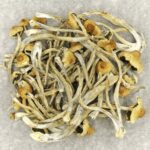 Hautla | Shrooms Online Canada