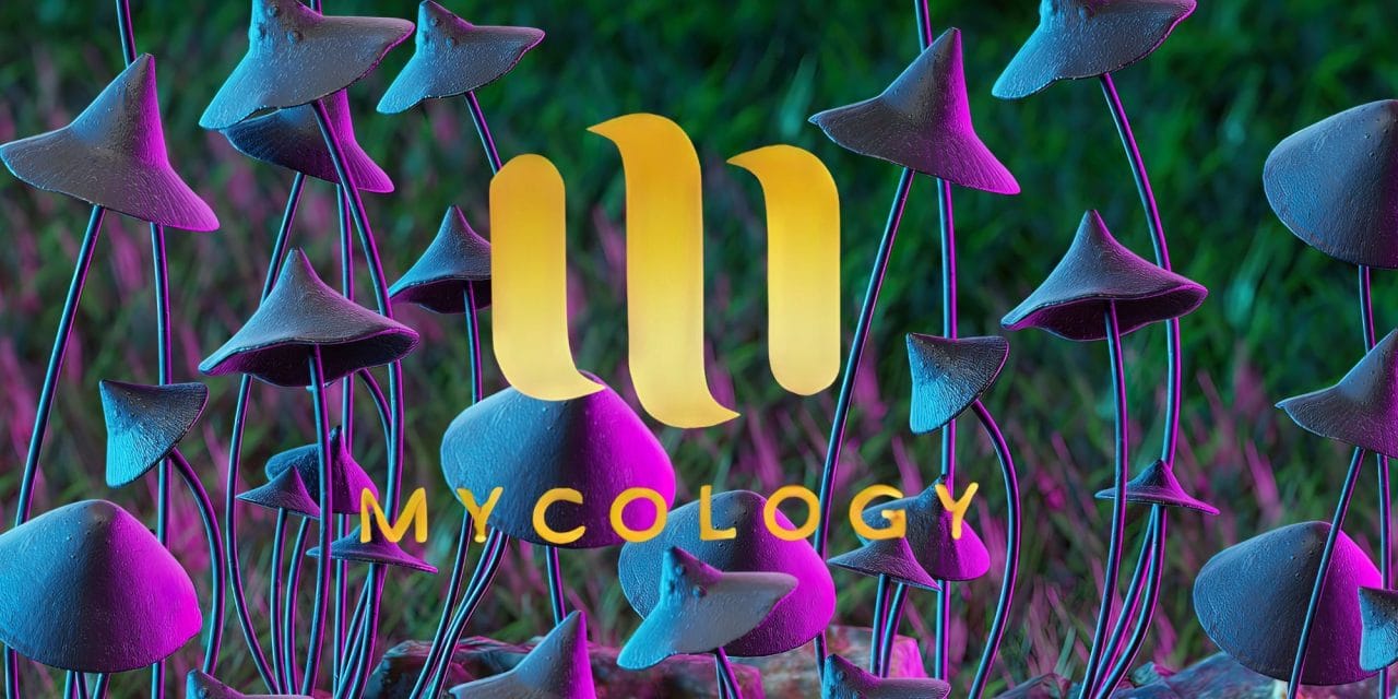 Zoomies Summer 2023 Banner - Mycology | Shrooms Online Canada