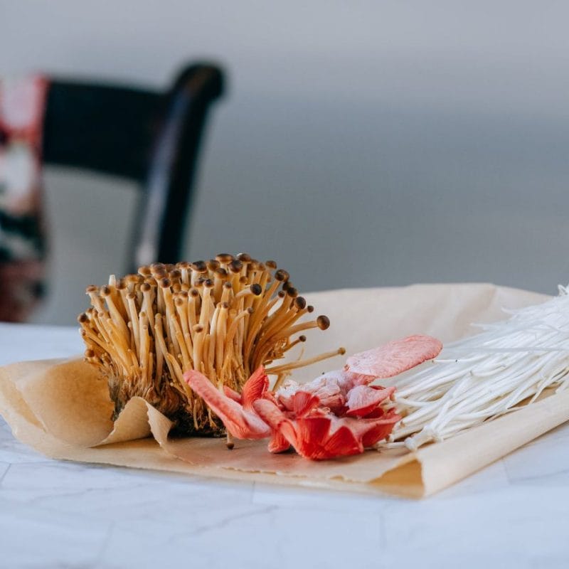 Buy Shrooms Online Canada (1) | Shrooms Online Canada