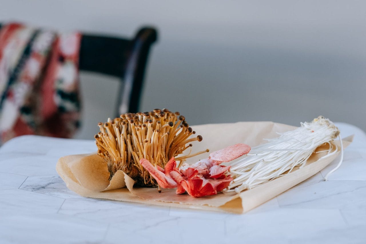 Purchase Mushrooms Online in Canada for Festive Christmas Mushroom Recipes