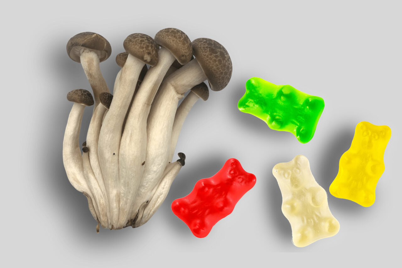Top LSD edibles in Canada Edibles containing LSD