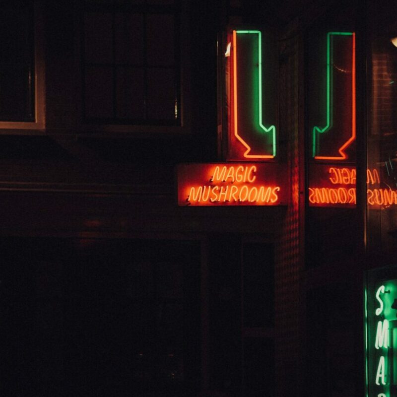 Mushroom Dispensary Vancouver | Shrooms Online Canada