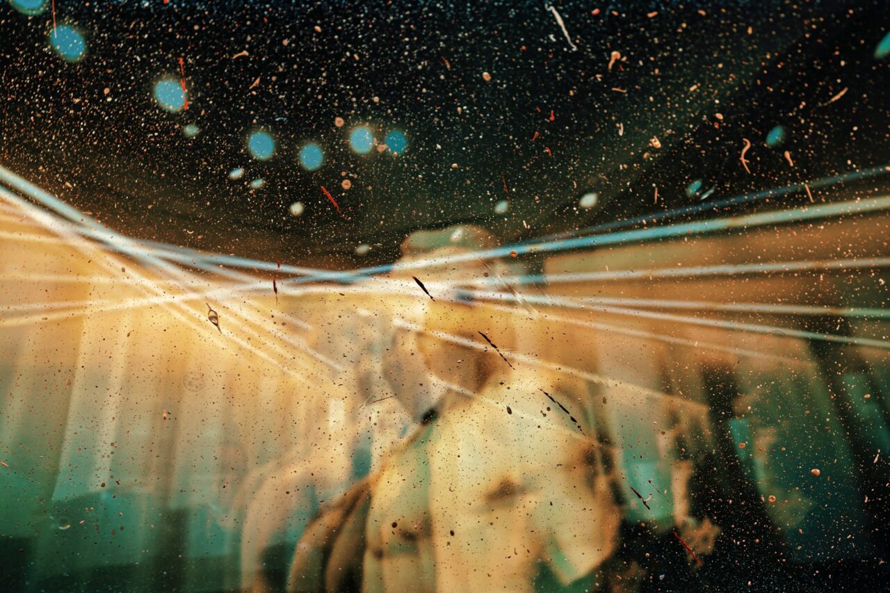 Canadian Doctor Maps His Brain While on Magic Mushrooms: ‘I Slipped into Strange Territory’
